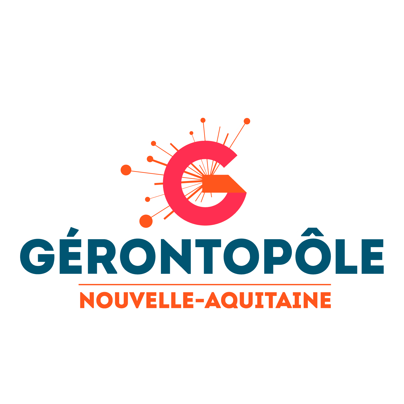 Logo-Gérontpole NA