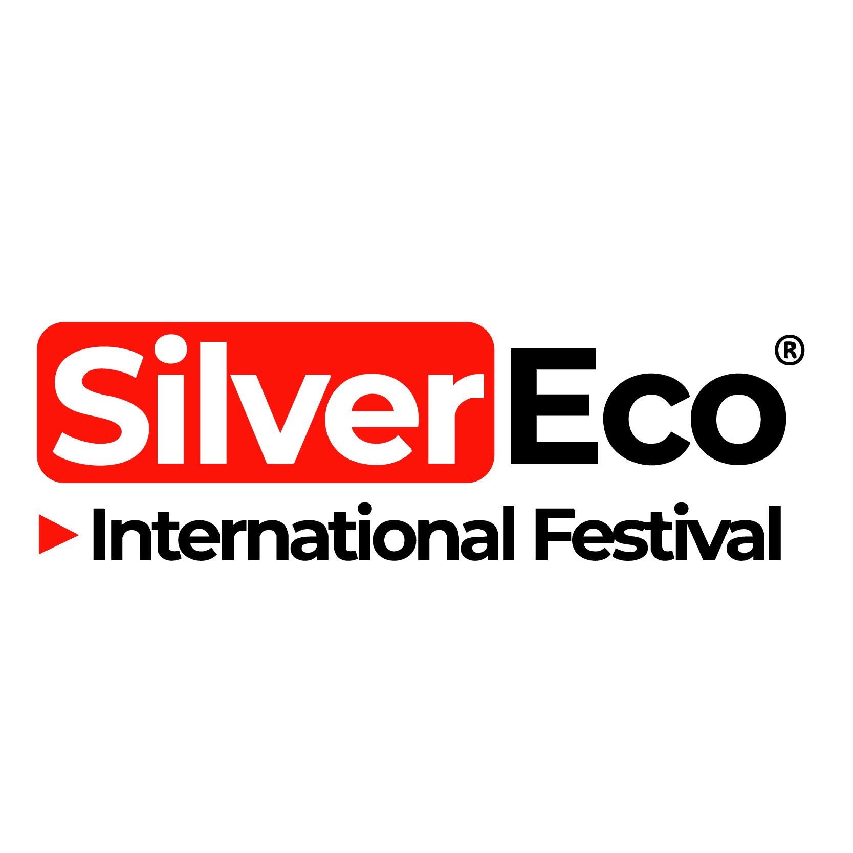 Logo-Silver Eco