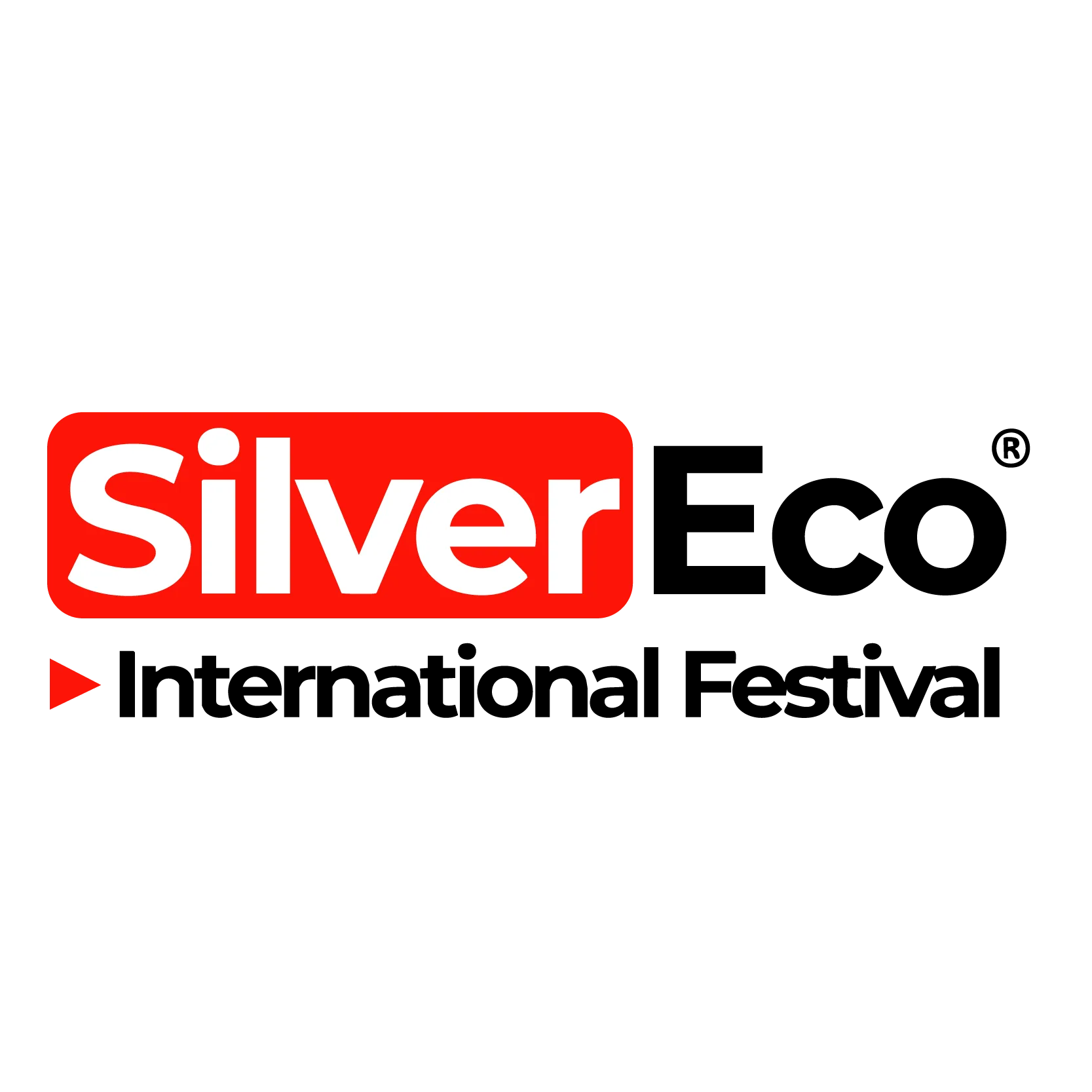 Logo-Silver Eco