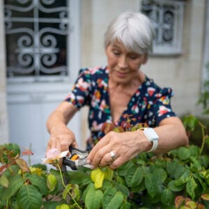 Femme taillant un rosier dans le jardin.