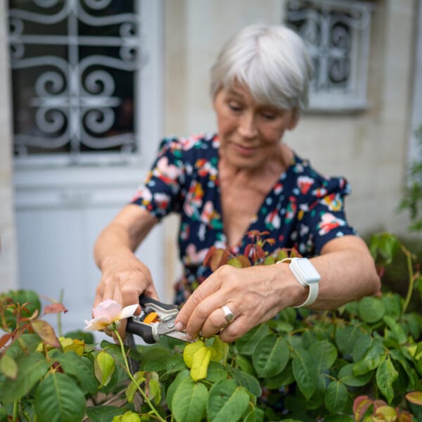 Femme taillant un rosier dans le jardin.